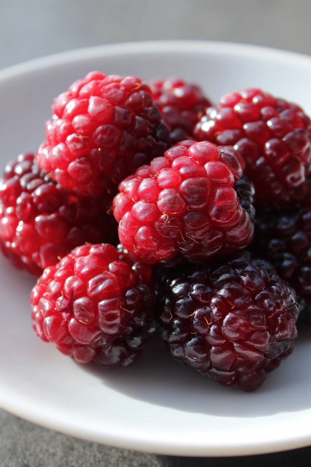 Classic Bramble Cocktail Recipe recipe